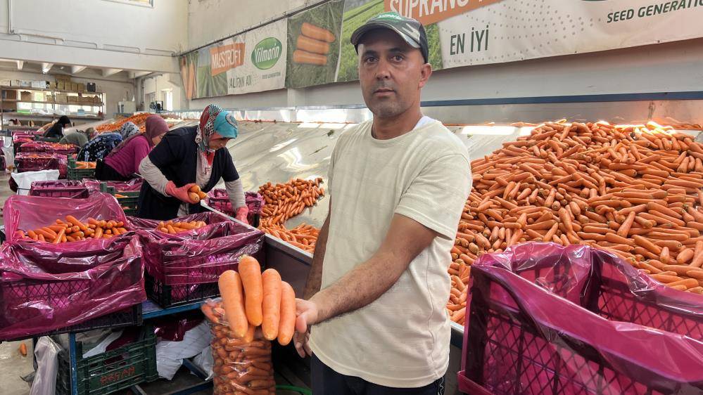Konya’nın Türkiye’de iddialı olduğu üründe hasat zamanı 9
